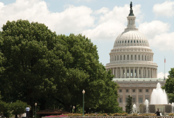 Charitable Planning in July